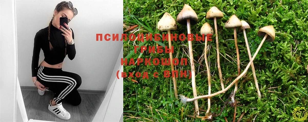 винт Остров