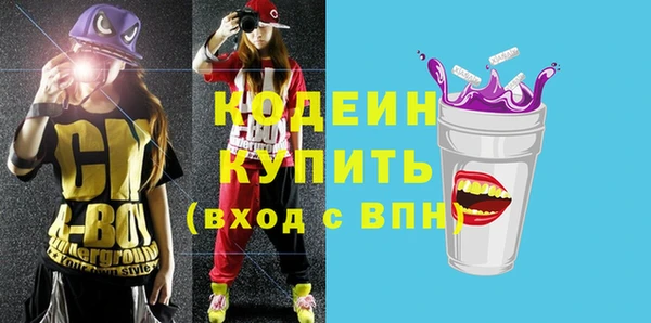 дурь Осташков