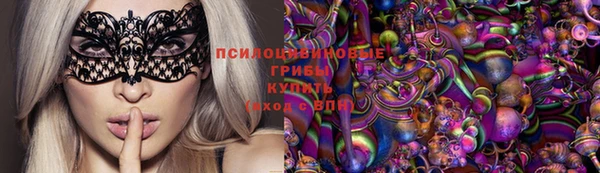 дурь Осташков