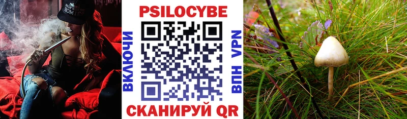Галлюциногенные грибы Psilocybe  цены наркотик  сайты даркнета состав  Никольск 